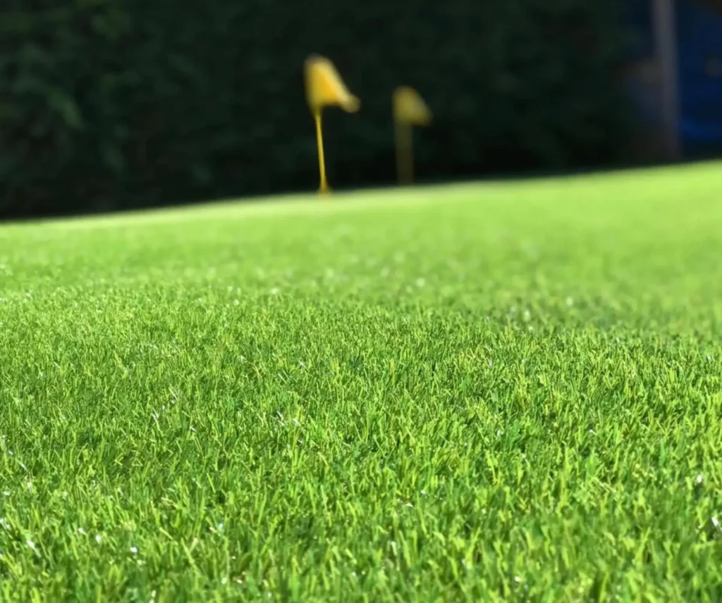 Artificial grass putting green