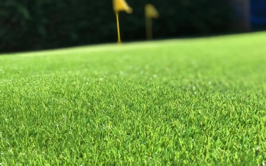 Synthetic Outdoor Putting Green for Home Use