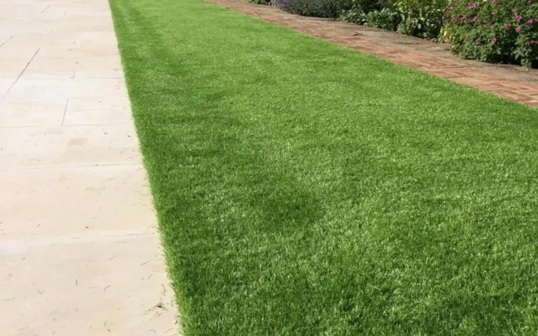 Who Offers the Best Artificial Grass Installation Near Me?