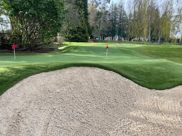 Artificial Grass Putting Lawn