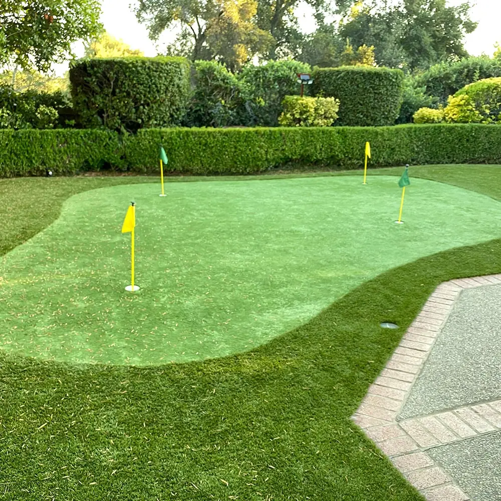 Putting Lawn